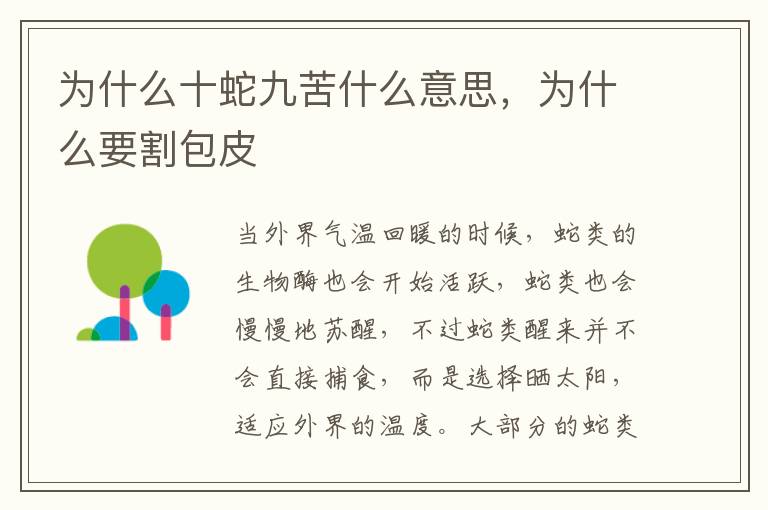 为什么十蛇九苦什么意思，为什么要割包皮