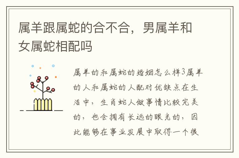 属羊跟属蛇的合不合，男属羊和女属蛇相配吗