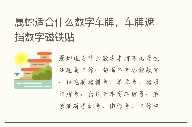 属蛇适合什么数字车牌，车牌遮挡数字磁铁贴