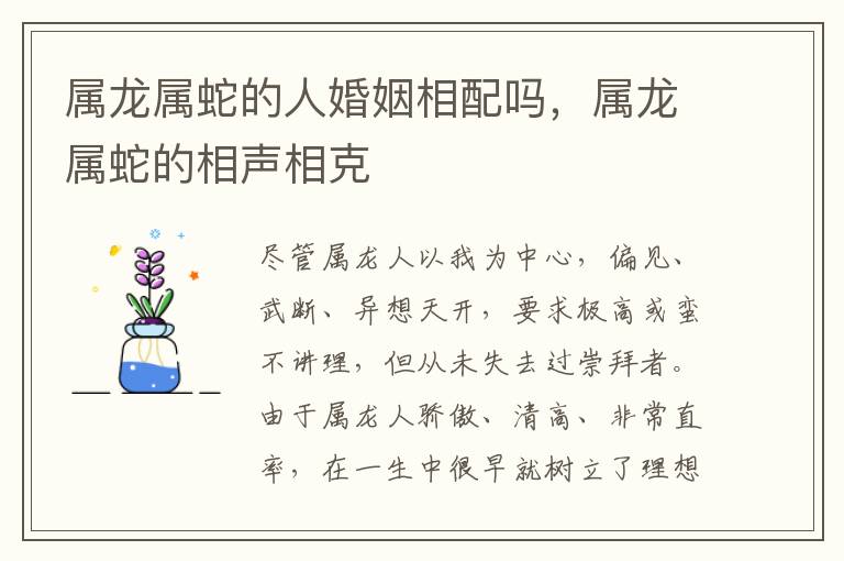 属龙属蛇的人婚姻相配吗，属龙属蛇的相声相克