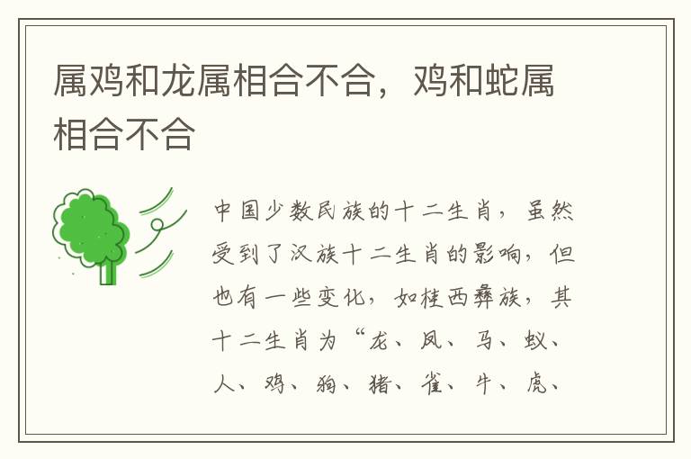属鸡和龙属相合不合，鸡和蛇属相合不合
