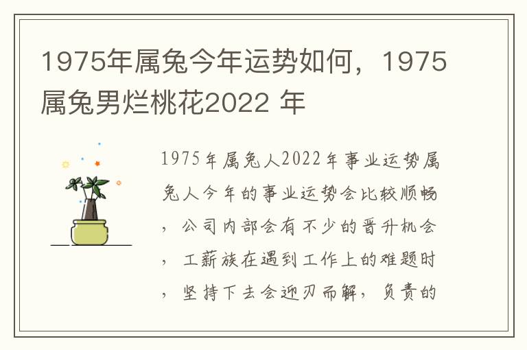 1975年属兔今年运势如何，1975属兔男烂桃花2022 年