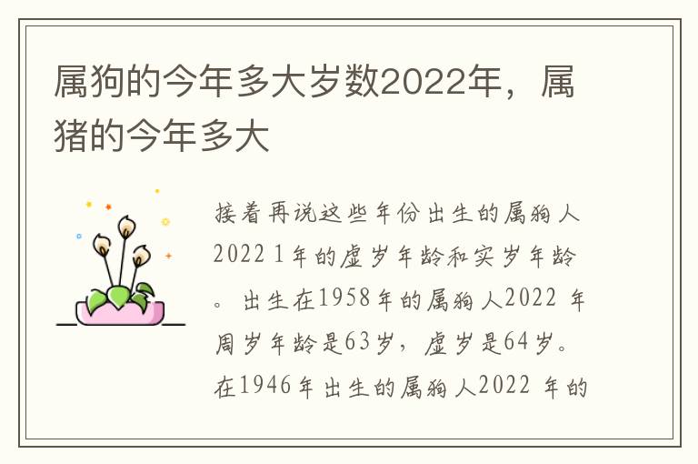 属狗的今年多大岁数2022年，属猪的今年多大