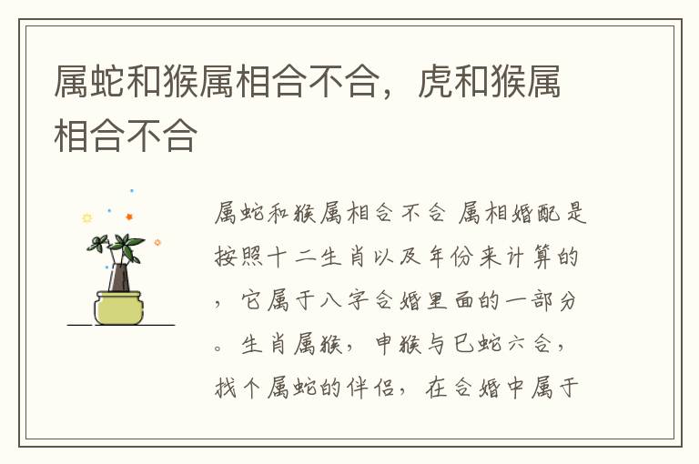 属蛇和猴属相合不合，虎和猴属相合不合