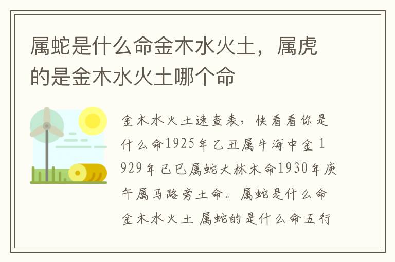 属蛇是什么命金木水火土，属虎的是金木水火土哪个命