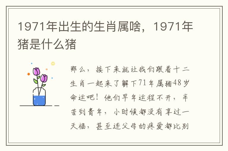 1971年出生的生肖属啥，1971年猪是什么猪