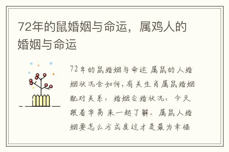 72年的鼠婚姻与命运，属鸡人的婚姻与命运