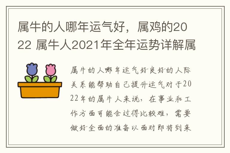 属牛的人哪年运气好，属鸡的2022 属牛人2021年全年运势详解属鸡