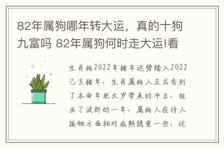 82年属狗哪年转大运，真的十狗九富吗 82年属狗何时走大运!看一看后面走不走大运