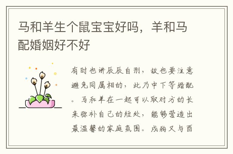 马和羊生个鼠宝宝好吗，羊和马配婚姻好不好