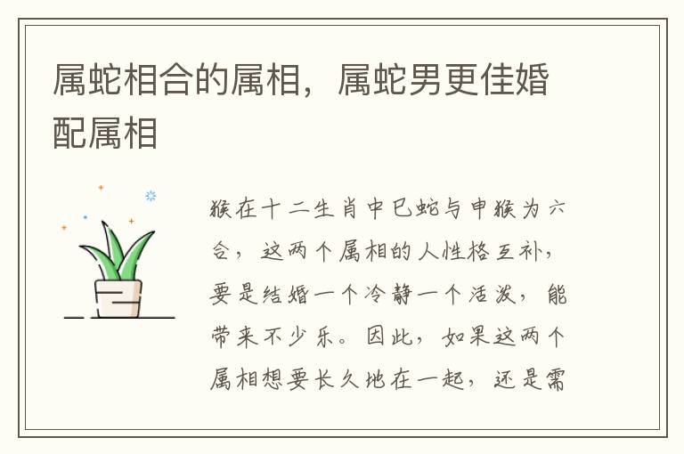 属蛇相合的属相，属蛇男更佳婚配属相