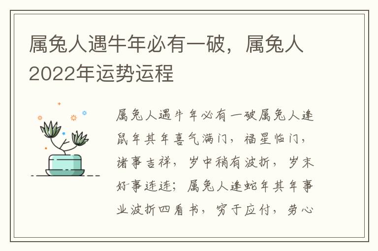 属兔人遇牛年必有一破，属兔人2022年运势运程