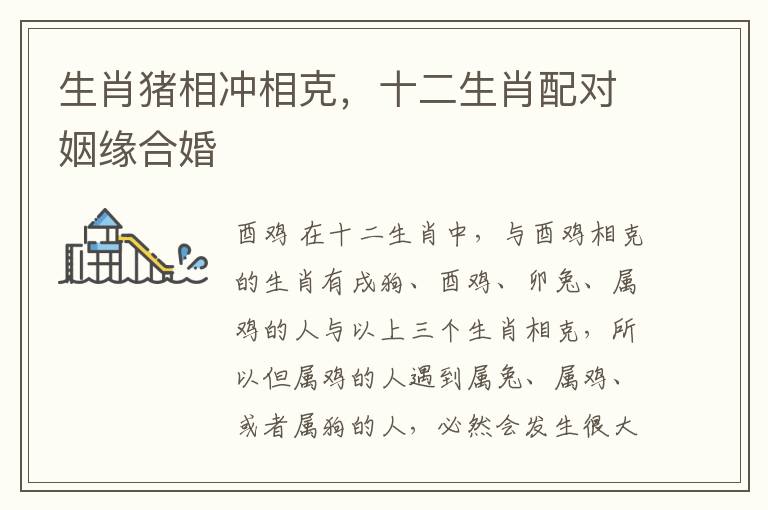 生肖猪相冲相克，十二生肖配对姻缘合婚