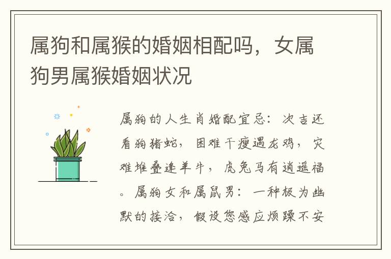 属狗和属猴的婚姻相配吗，女属狗男属猴婚姻状况