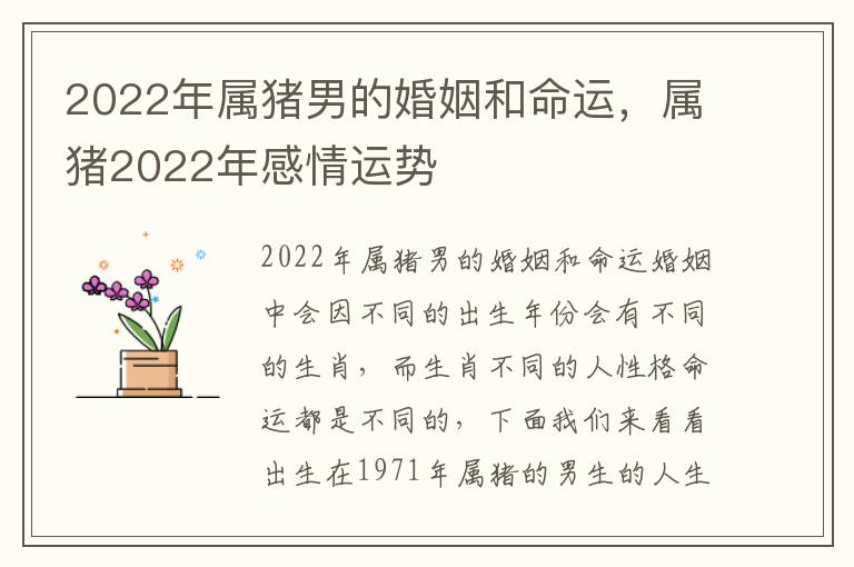 2022年属猪男的婚姻和命运，属猪2022年感情运势