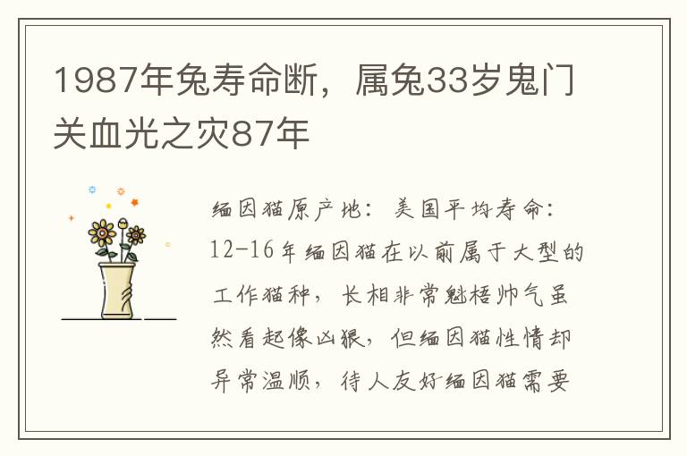 1987年兔寿命断，属兔33岁鬼门关血光之灾87年