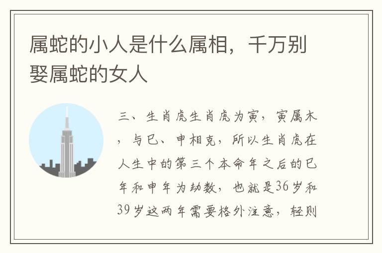 属蛇的小人是什么属相，千万别娶属蛇的女人