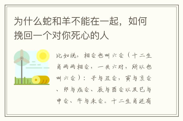 为什么蛇和羊不能在一起，如何挽回一个对你死心的人