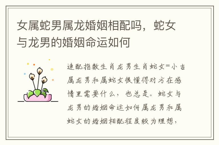 女属蛇男属龙婚姻相配吗，蛇女与龙男的婚姻命运如何