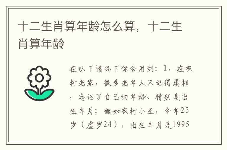 十二生肖算年龄怎么算，十二生肖算年龄