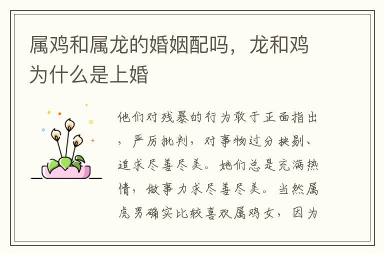 属鸡和属龙的婚姻配吗，龙和鸡为什么是上婚