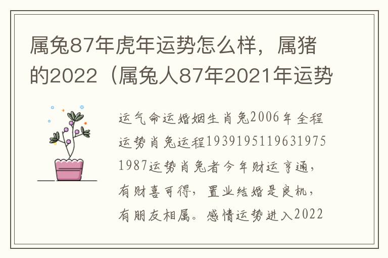 属兔87年虎年运势怎么样，属猪的2022（属兔人87年2021年运势及财运）