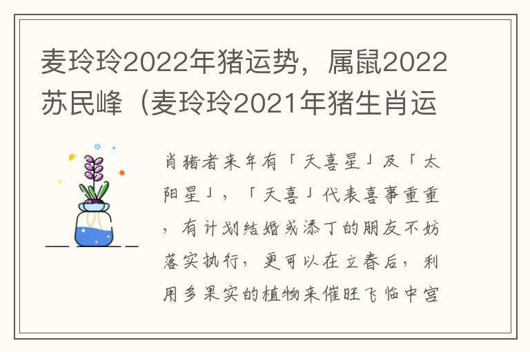 麦玲玲2022年猪运势，属鼠2022苏民峰（麦玲玲2021年猪生肖运势）