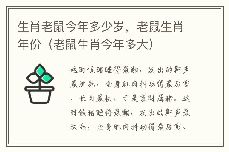 生肖老鼠今年多少岁，老鼠生肖年份（老鼠生肖今年多大）