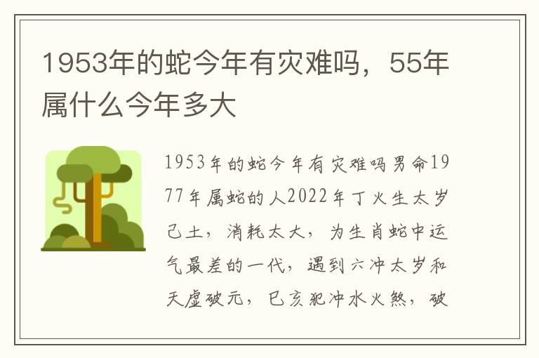 1953年的蛇今年有灾难吗，55年属什么今年多大