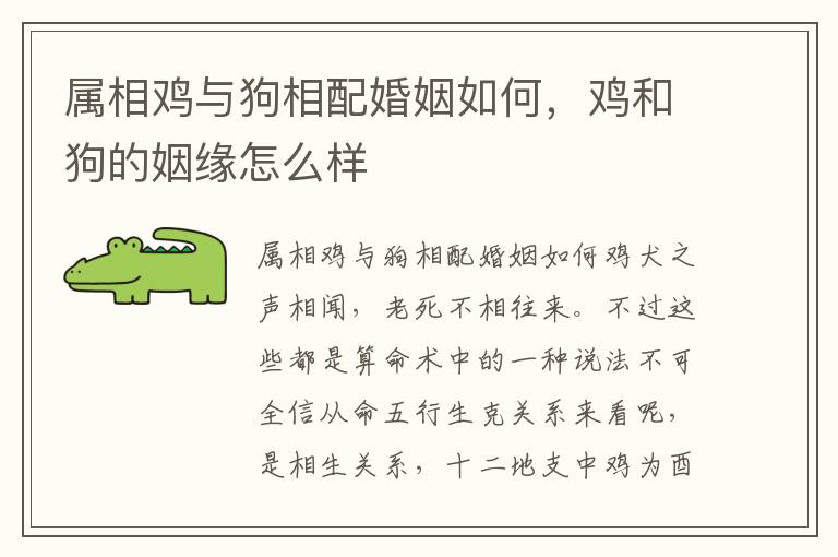 属相鸡与狗相配婚姻如何，鸡和狗的姻缘怎么样