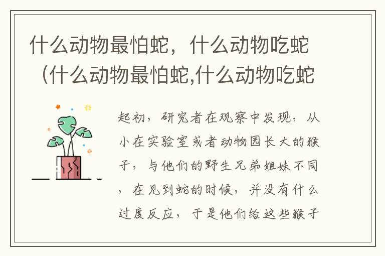 什么动物最怕蛇，什么动物吃蛇（什么动物最怕蛇,什么动物吃蛇不怕蛇）