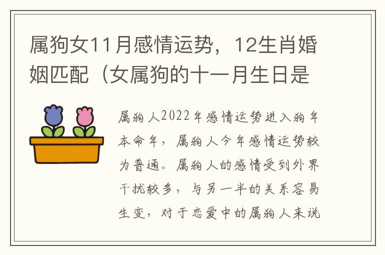 属狗女11月感情运势，12生肖婚姻匹配（女属狗的十一月生日是什么命）