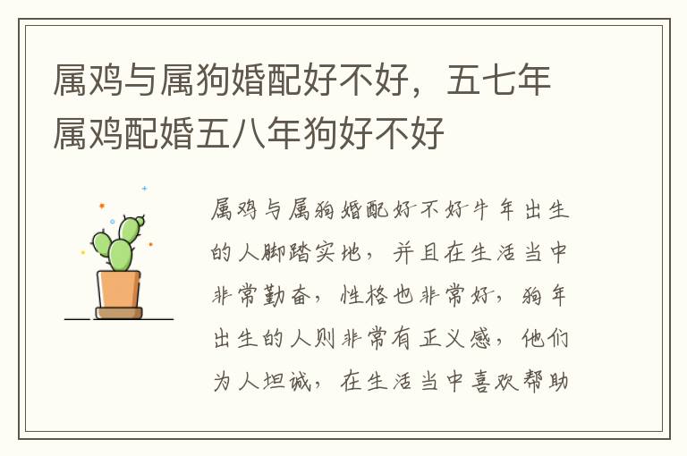 属鸡与属狗婚配好不好，五七年属鸡配婚五八年狗好不好