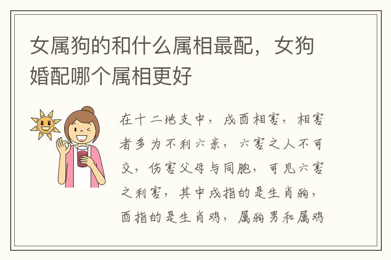 女属狗的和什么属相最配，女狗婚配哪个属相更好