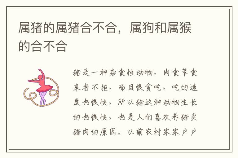 属猪的属猪合不合，属狗和属猴的合不合