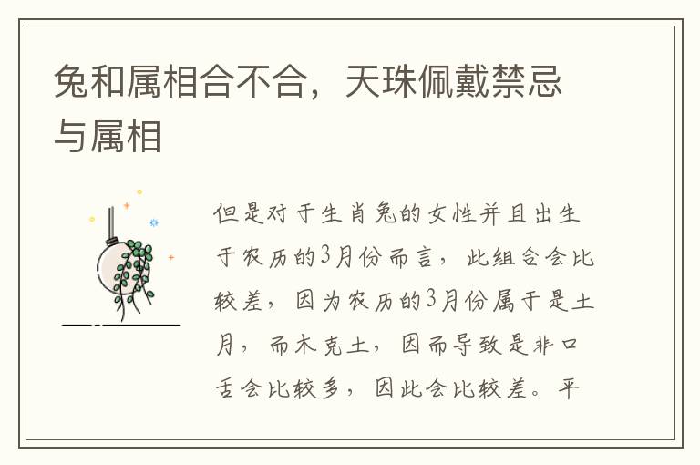 兔和属相合不合，天珠佩戴禁忌与属相