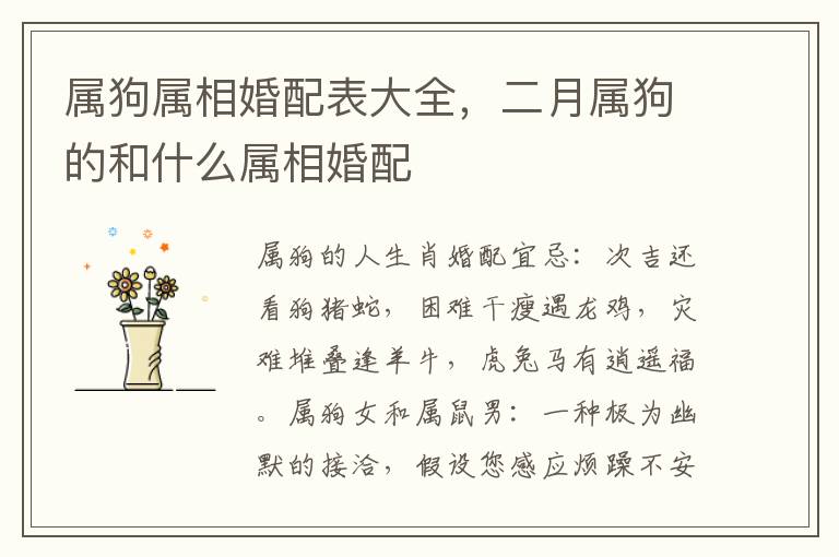 属狗属相婚配表大全，二月属狗的和什么属相婚配