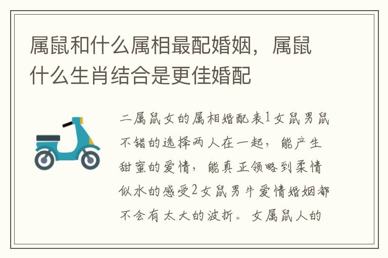 属鼠和什么属相最配婚姻，属鼠什么生肖结合是更佳婚配