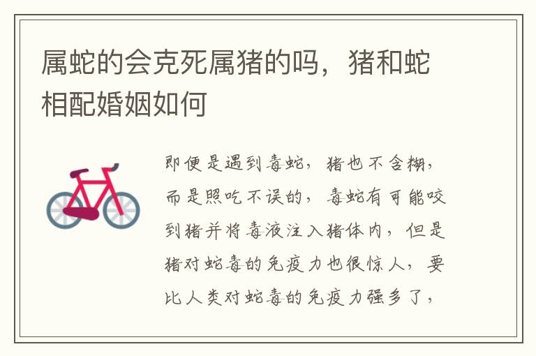 属蛇的会克死属猪的吗，猪和蛇相配婚姻如何