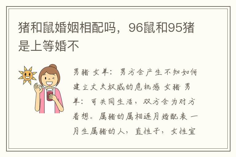 猪和鼠婚姻相配吗，96鼠和95猪是上等婚不