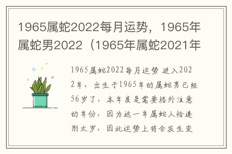 1965属蛇2022每月运势，1965年属蛇男2022（1965年属蛇2021年每月运程）