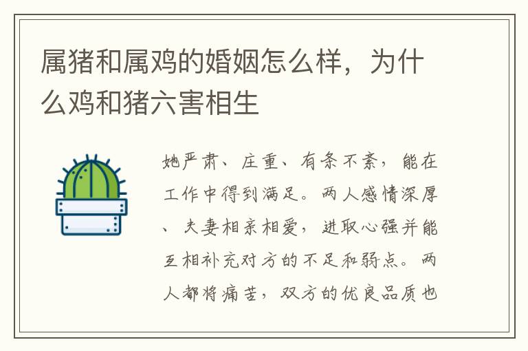 属猪和属鸡的婚姻怎么样，为什么鸡和猪六害相生