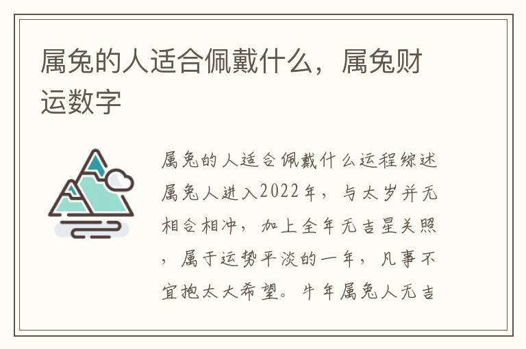 属兔的人适合佩戴什么，属兔财运数字