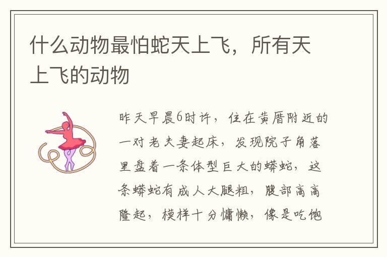 什么动物最怕蛇天上飞，所有天上飞的动物