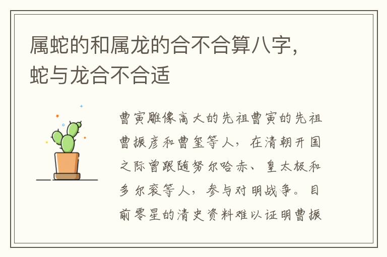 属蛇的和属龙的合不合算八字，蛇与龙合不合适