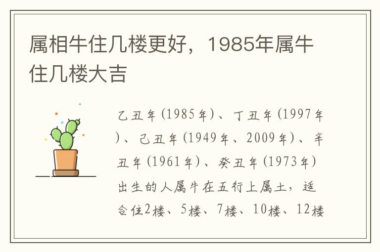 属相牛住几楼更好，1985年属牛住几楼大吉