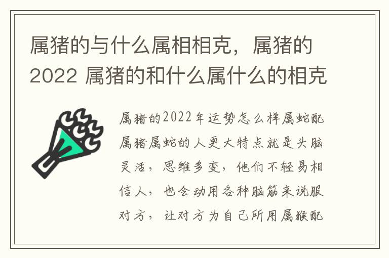 属猪的与什么属相相克，属猪的2022 属猪的和什么属什么的相克