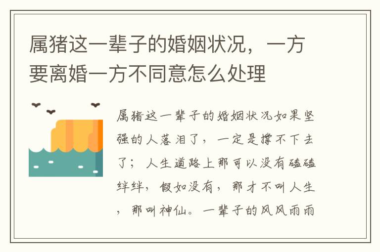 属猪这一辈子的婚姻状况，一方要离婚一方不同意怎么处理