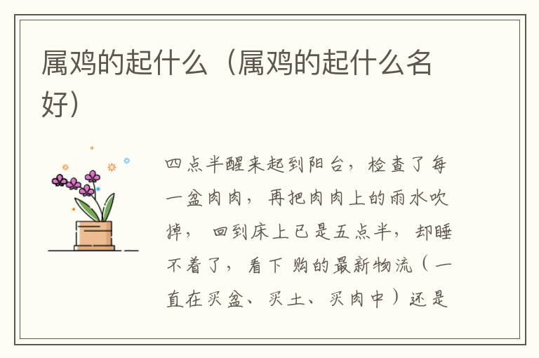 属鸡的起什么（属鸡的起什么名好）