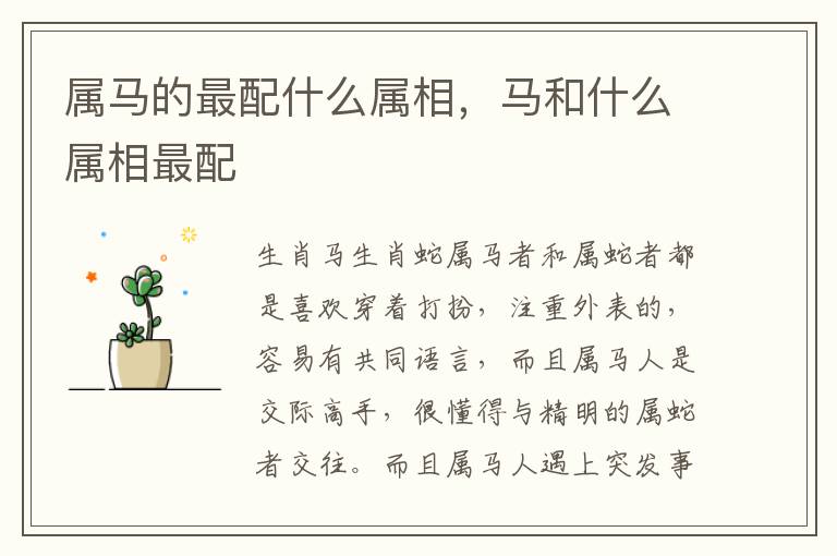 属马的最配什么属相，马和什么属相最配